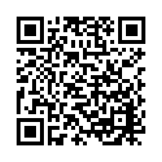 QR 코드 이미지