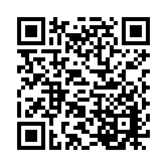 QR Code Image