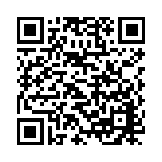 QR 코드 이미지