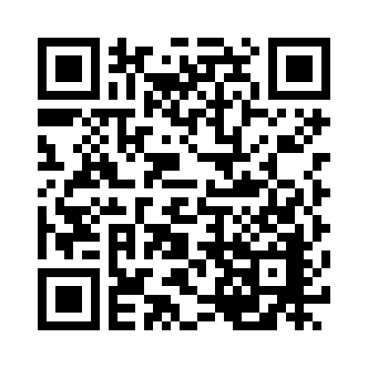 QR Code Image