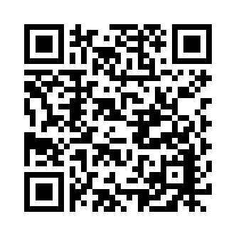 QR 코드 이미지