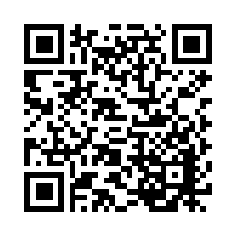QR Code Image