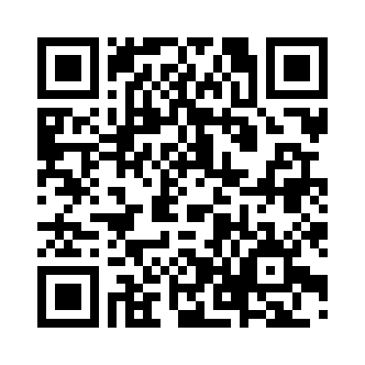 QR 코드 이미지