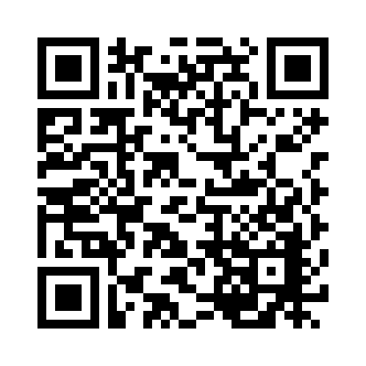 QR Code Image